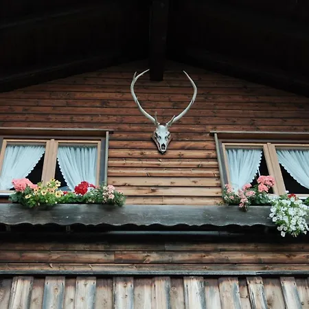 Apartman Haus Baum -